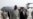 US Ends Military Mission in Iraq