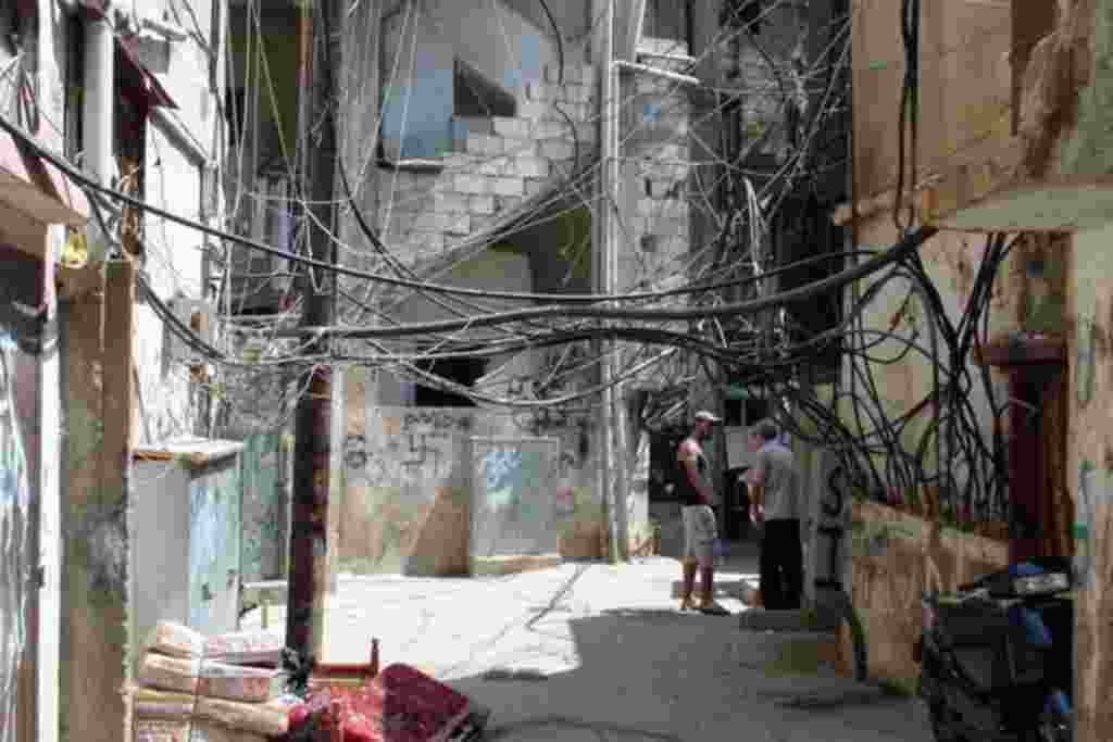 جمعه بیست و یکم ژانویه - هفته ای که گذشت به روایت تصویر