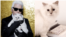 Choupette, kucing peliharaan mendiang perancang adibusana asal Jerman, Karl Lagerfeld