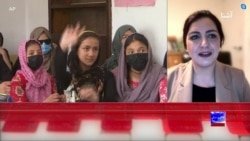 گفتگوی ویژه: مکتب آن‌لاین هرات؛ فرصت آموزش برای بیش از سه هزار شاگرد