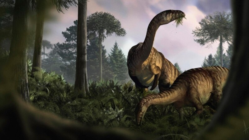 Feces and vomit fossils offer evidence explaining dinosaur supremacy