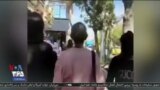 اخبار شبانگاهی