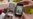 Out With the Old... iPhones? 4 Ways to Reuse, Resell, Recycle