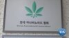 South Korea Takes a Baby Step Toward Medical Cannabis Legalization