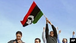 Libya's Revolution