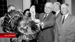 Lễ Tạ ơn: Tổng thống Mỹ phóng sanh gà Tây