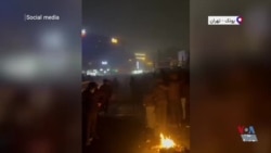 شور و شادی معترضان ضدحکومتی در تهران، پونک- بامداد ۲۰ دی ۱۴۰۴