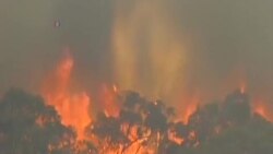 澳大利亞南方野火失控民眾緊急疏散