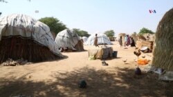 SALUD: Cólera en campamentos de desplazados en Nigeria