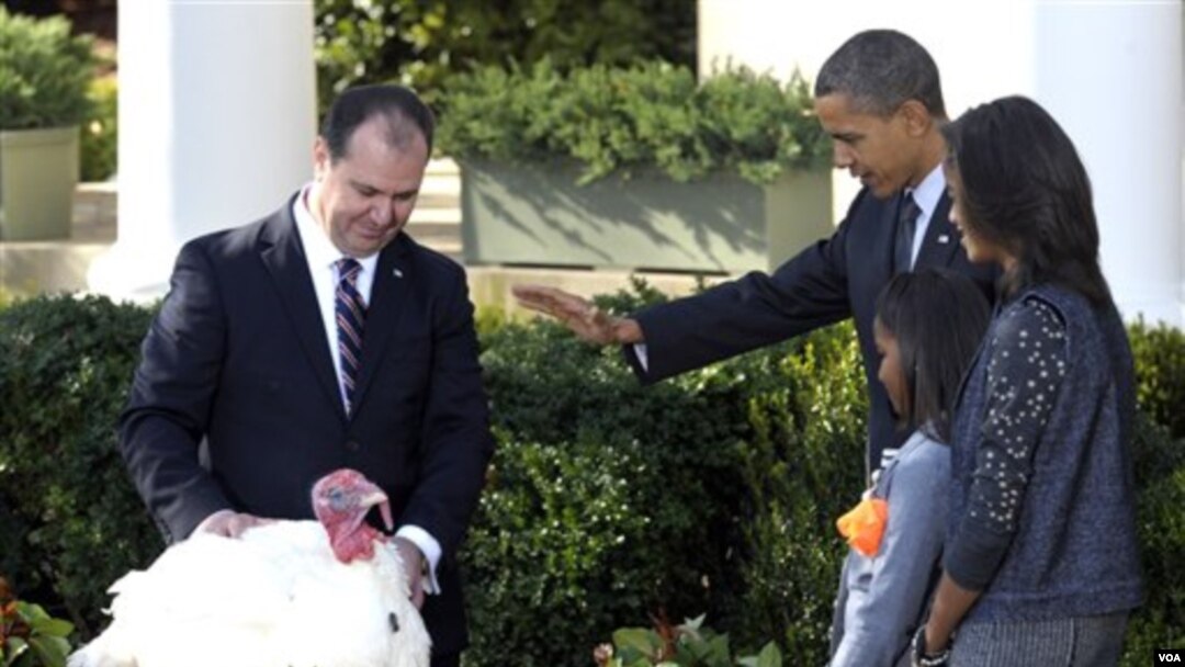 Presiden Barack Obama dan keluarga mengampuni kalkun bernama "Apple," di Gedung Putih, Rabu 24 November 2010.