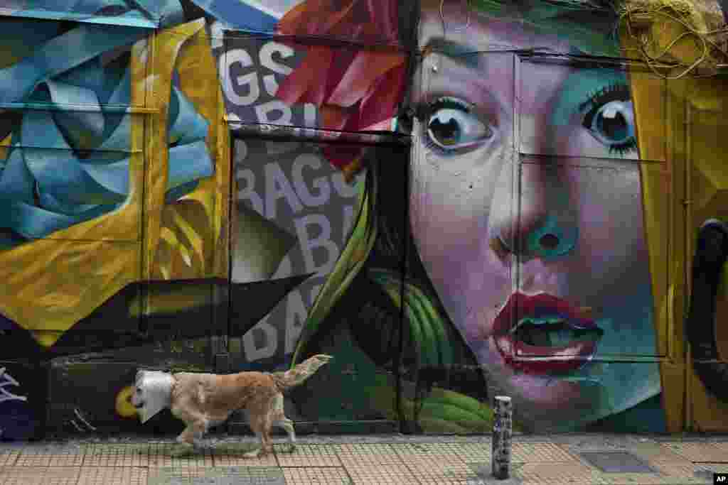 A dog walks past a mural by street artist Alex Martinez outside a shop which sells bags at Psiri area, central Athens.