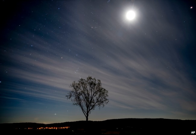 Moon and stars shine over a tree in the outskirts of Frankfurt, Germany, early Tuesday, Sept. 8, 2020. (AP Photo/Michael Probst)