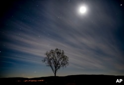 Moon and stars shine over a tree in the outskirts of Frankfurt, Germany, early Tuesday, Sept. 8, 2020. (AP Photo/Michael Probst)