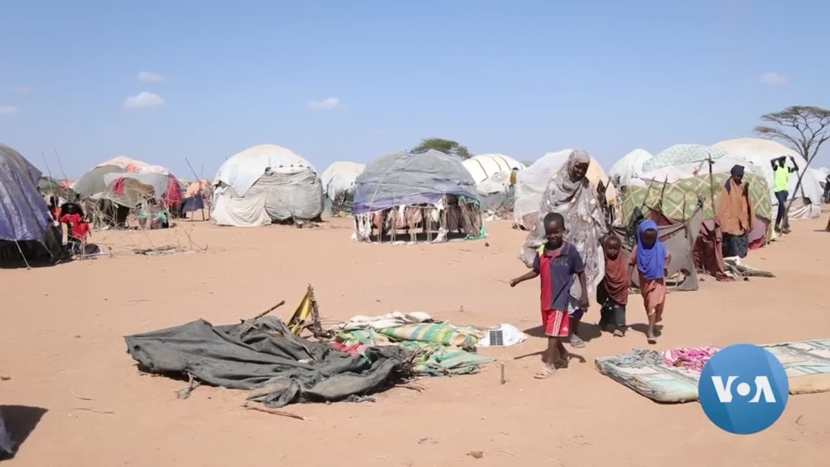 Repatriated Somali Refugees Return to Kenya's Camps as Ravaging Drought ...