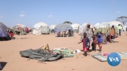 Repatriated Somali Refugees Return to Kenya's Camps as Ravaging Drought Continues