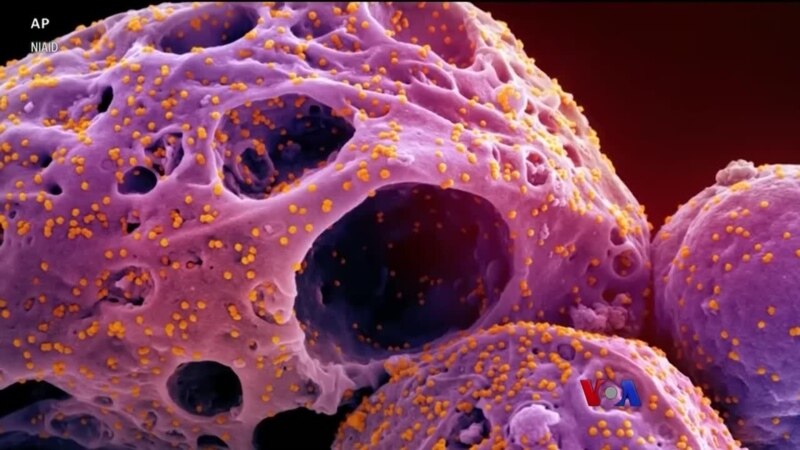 Strain baru covid terus bermunculan