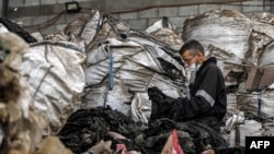 A worker sorts through shredded plastic at the startup known as TileGreen, based near Egypt's capital, on Dec. 8, 2022.
