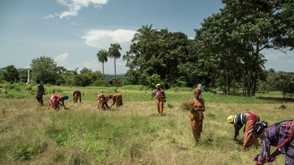 African Leaders Discuss Path to Food Security at Dakar Summit