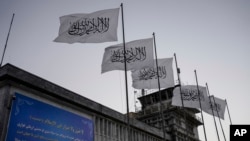 FILE - Taliban flags fly at the airport in Kabul, Afghanistan, Sept. 9, 2021. 