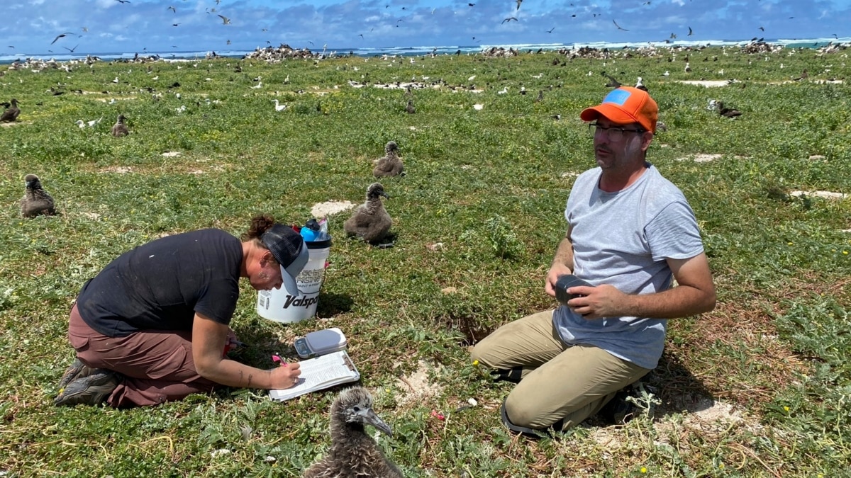 Climate Concerns Push Scientists to Move Species to New Areas - Vimarsana News