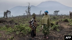 Dans cette partie du parc national des Virunga, la végétation était dense et verdoyante il y a peu.