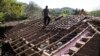 ARCHIVO - Los salvadoreños reparan el techo de su casa dañada luego de que breves sismos afectaran el pueblo de Tiguilotal en el municipio de El Carmen, a unos 163 km al este de la capital de San Salvador, en noviembre de 2011.