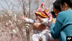 北京一座公園裡一對夫婦抱著嬰兒賞櫻。（2021年3月24日）
