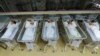 资料照：中国安徽合肥的一所医院里的新生儿。