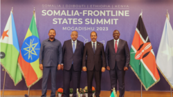 Les pays de la Corne de l'Afrique promettent de détruire les shebab