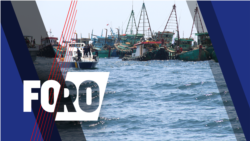 Foro: Pesca ilegal, su impacto económico y ambiental