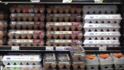 Konsumen dan Pemilik UKM AS Cemaskan Harga Telur yang Melangit