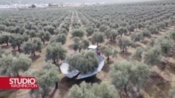 Projekat u Španiji: Avionsko gorivo od košpica maslina