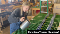 Крістіана Трапані за роботою над "українськими" свічками