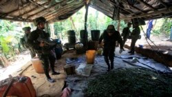 La policía antinarcóticos inspecciona un laboratorio de cocaína antes de destruirlo en Puerto Concordia, en el sureño estado colombiano del Meta, el 25 de enero de 2012.