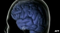 Truri, dy punë njëherësh por jo më shumë