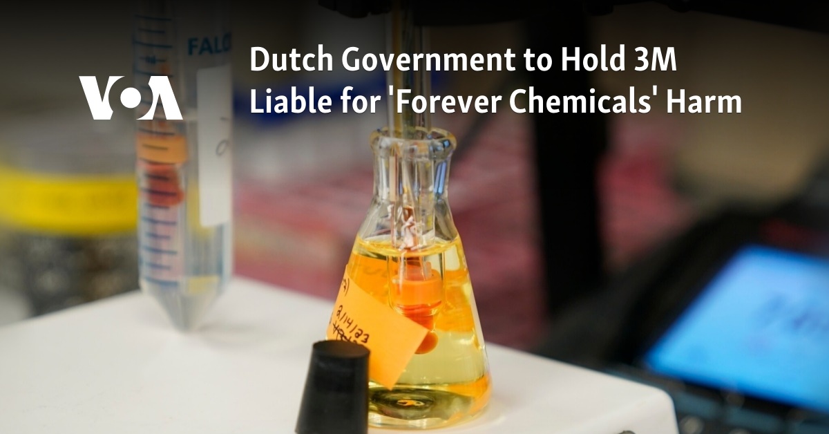 Dutch Government to Hold 3M Liable for 'Forever Chemicals' Harm - Vimarsana News