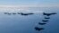 Nan foto sa a ke Ministe Defans Kore di Sid pataje ak lapres, 2 avyon B1B Fos Ayeryen Etazini (mitan) ak avyon konba F-35 Fos Ayeryen Kore di Sid patisipe nan egzesis milite "Vigilant Storm" Samdi 5 Nov. 2022.
