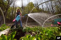 Jack Holden menyirami tanaman bunga bersama ibunya Ellie, di rumah mereka, di Proctor, Vermont, Kamis, 12 Mei 2022. (AP/Charles Krupa)