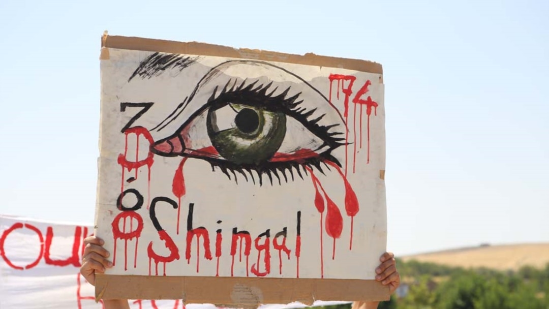 Jinsiy külotli jojalar