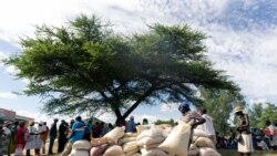 UN Fears Acute Hunger in Zimbabwe