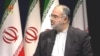 مشاور روحانی: تندورها در کار دولت سنگ اندازی می کنند