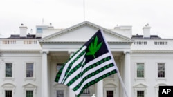 Demonstrant maše zastavom na kojoj je prikazano lišće marihuane tokom protesta koji pozivaju na legalizaciju marihuane ispred Bijele kuće 2. aprila 2016. u Washingtonu.