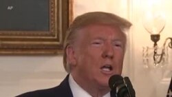 Трамп заявил о постоянном перемирии между Турцией и курдами в Сирии