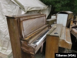 Some of Dean Petrich's collection of pianos were ruined this past winter when a storm ripped apart a storage tent and exposed the instruments to rain.
