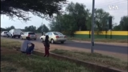 Bathwele Nzima Abadabuka eZimbabwe Abadinga Imisebenzi Kwele Botswana.