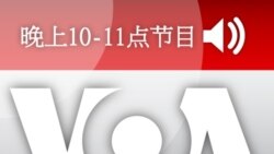 晚上10-11点节目