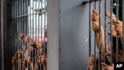 Situação das cadeias é explosiva, diz HRW