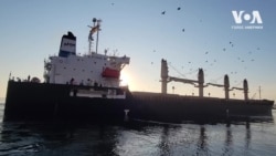 Український експорт зерна наблизився до довоєнного рівня: репортаж з Одеського порту. Відео