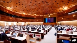 ARCHIVO - El Consejo de Derechos Humanos de la ONU se reúne en Ginebra el 2 de marzo de 2022.