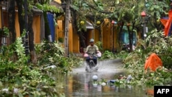 Cây cối ngã đổ ở thành phố Hội An sau bão Noru